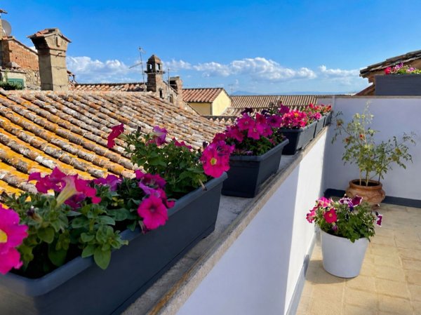 appartamento in vendita a Cortona