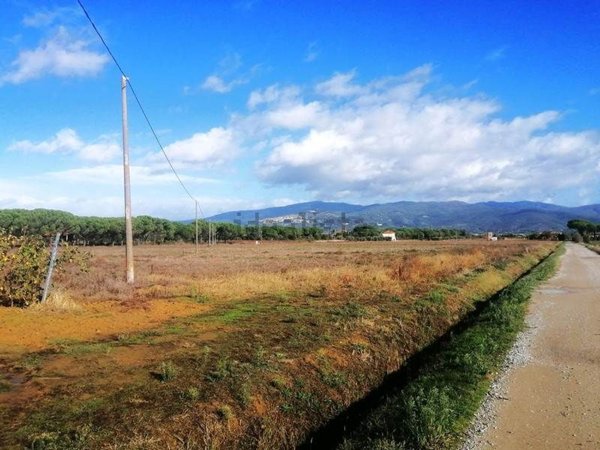 terreno agricolo in vendita a Cortona