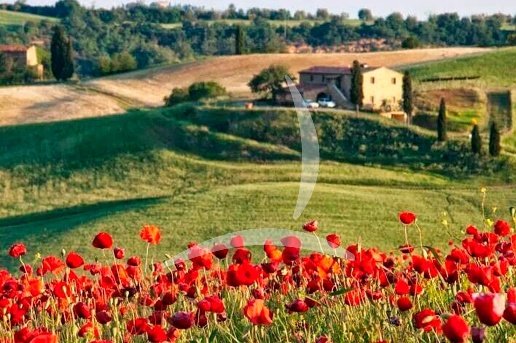 casale in vendita a Cortona