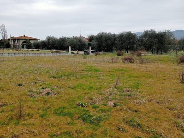 terreno agricolo in vendita a Cortona in zona Ossaia