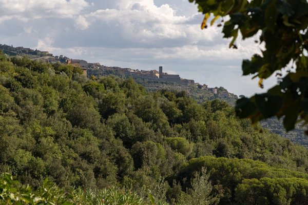 casa indipendente in vendita a Cortona in zona Casale