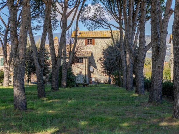 casa indipendente in vendita a Cortona in zona Fossa del Lupo