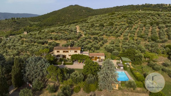 casa indipendente in vendita a Cortona in zona Camucia
