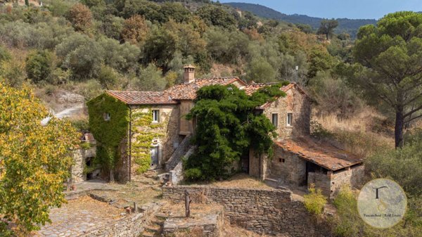appartamento in vendita a Cortona