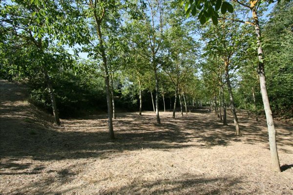 mansarda in vendita a Foiano della Chiana