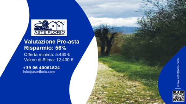 terreno agricolo in vendita a Foiano della Chiana