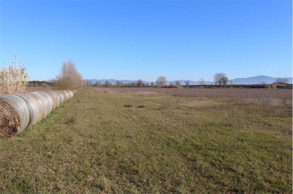 terreno agricolo in vendita a Foiano della Chiana