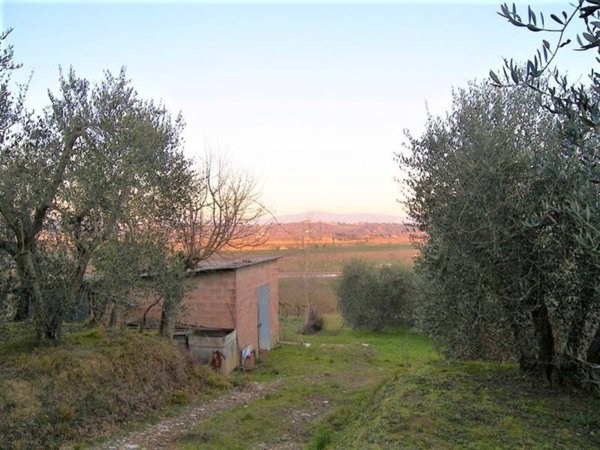 terreno agricolo in vendita a Foiano della Chiana