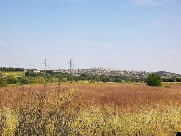 azienda agricola in vendita a Foiano della Chiana