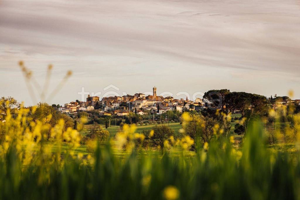 immagine annuncio 0 di 15
