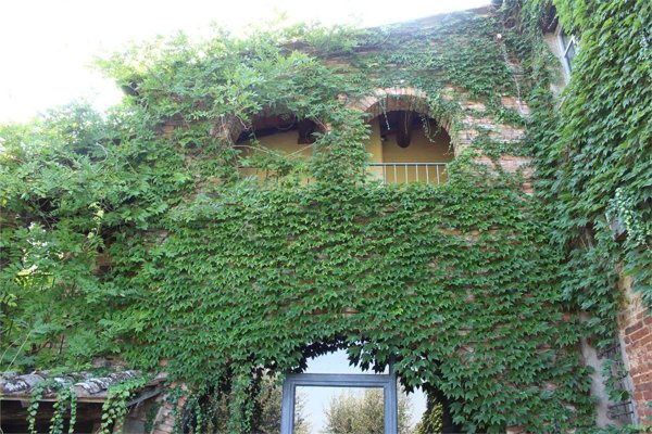 casa indipendente in vendita a Foiano della Chiana