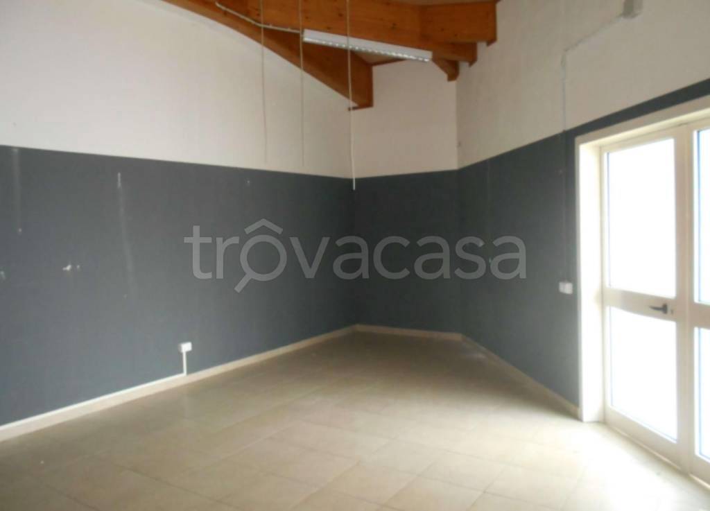 negozio in vendita a Foiano della Chiana