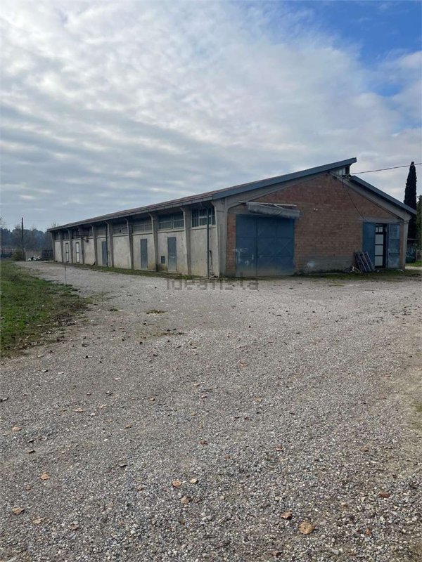 locale commerciale in vendita a Foiano della Chiana