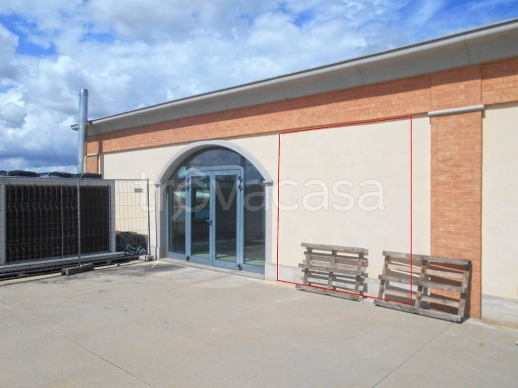 negozio in vendita a Foiano della Chiana