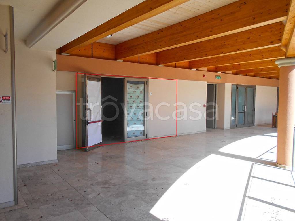 negozio in vendita a Foiano della Chiana