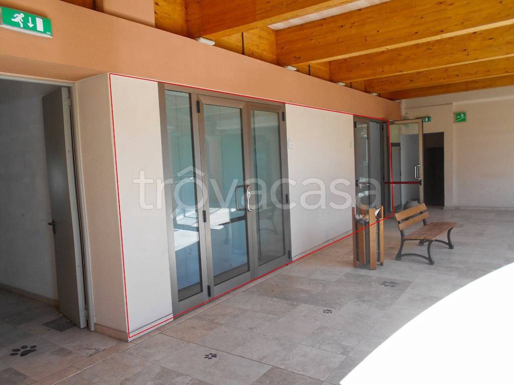 negozio in vendita a Foiano della Chiana