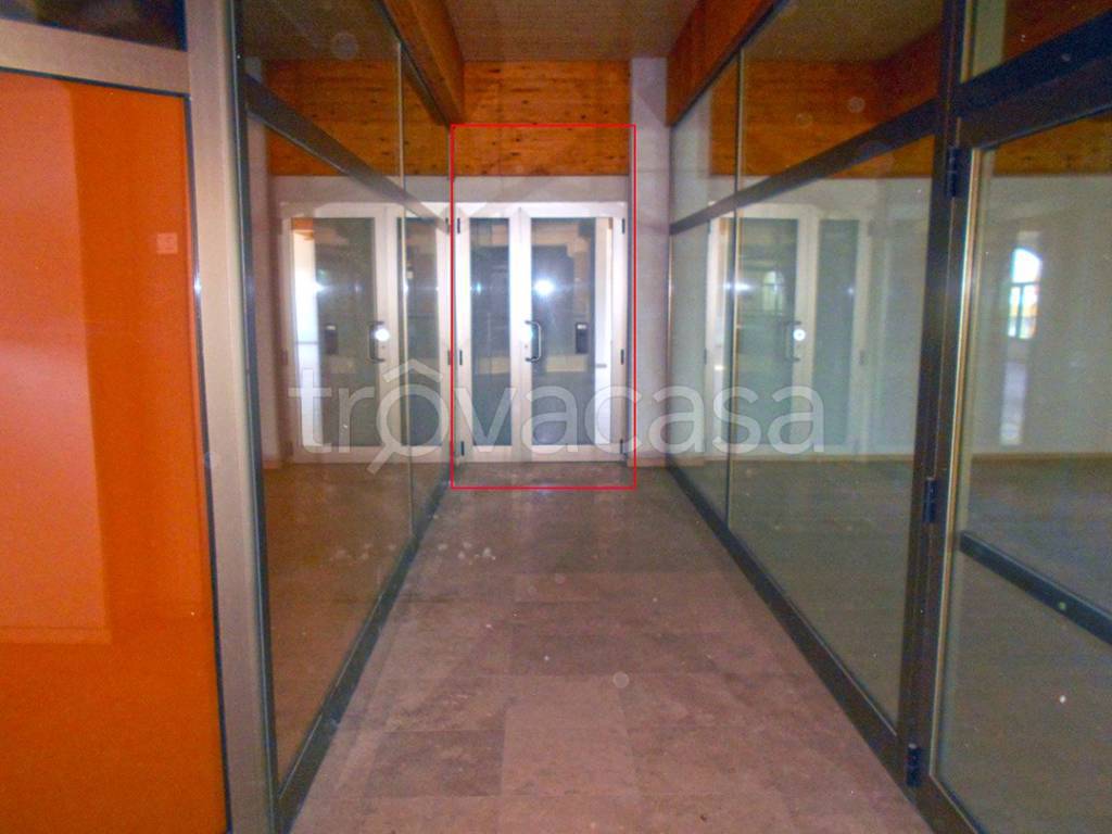 negozio in vendita a Foiano della Chiana