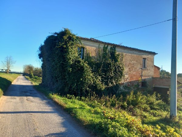 esavano in vendita a Foiano della Chiana