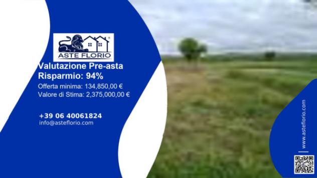 terreno agricolo in vendita a Foiano della Chiana