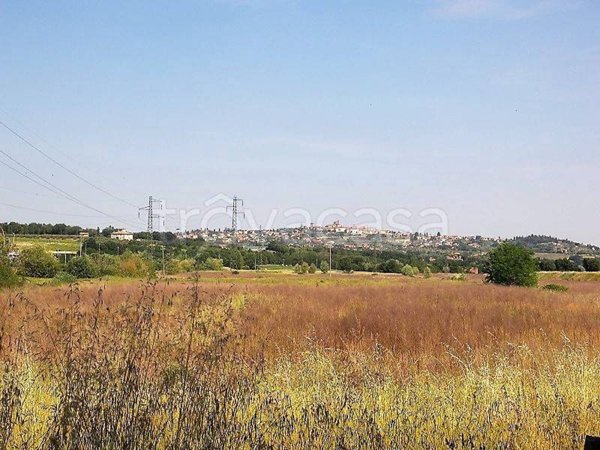 negozio in vendita a Foiano della Chiana