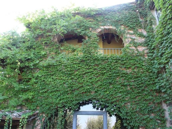 appartamento in vendita a Foiano della Chiana