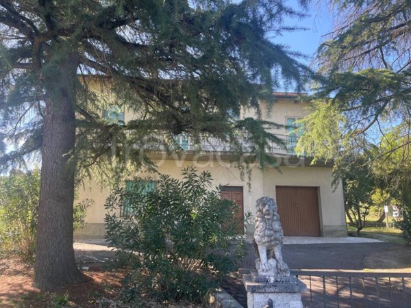 casa indipendente in vendita a Foiano della Chiana