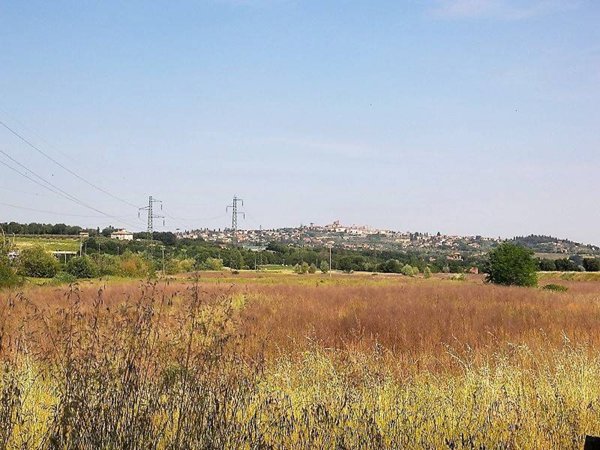 terreno agricolo in vendita a Foiano della Chiana