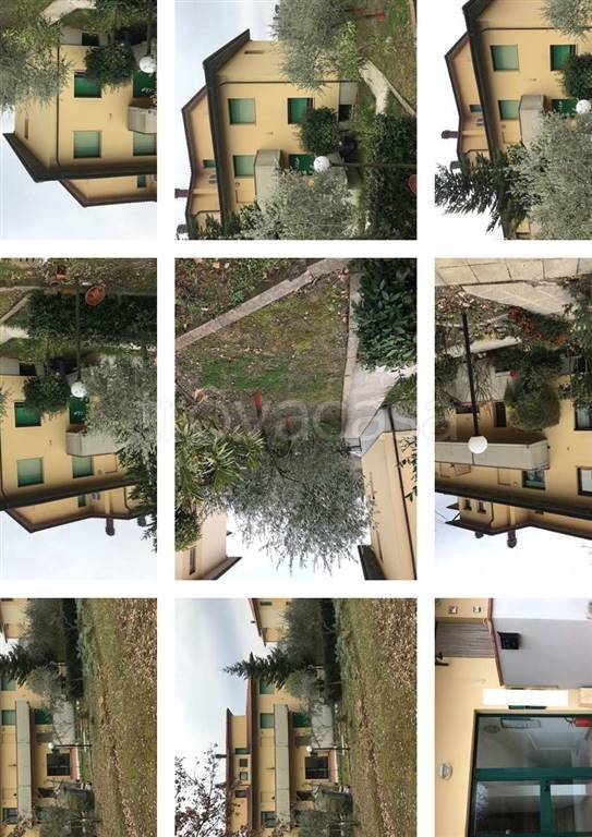 appartamento in vendita a Foiano della Chiana