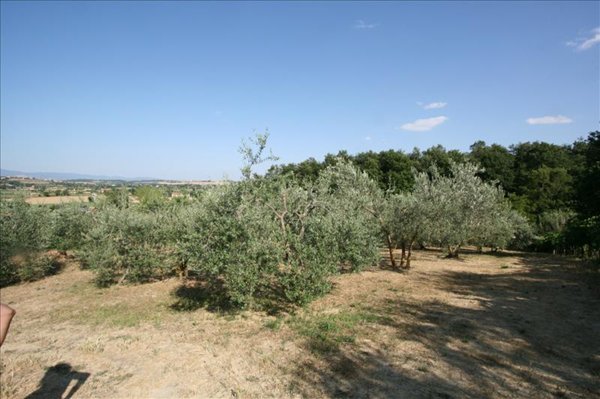 terreno in vendita a Foiano della Chiana