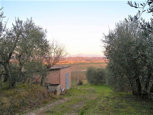 terreno in vendita a Foiano della Chiana in zona Pozzo della Chiana