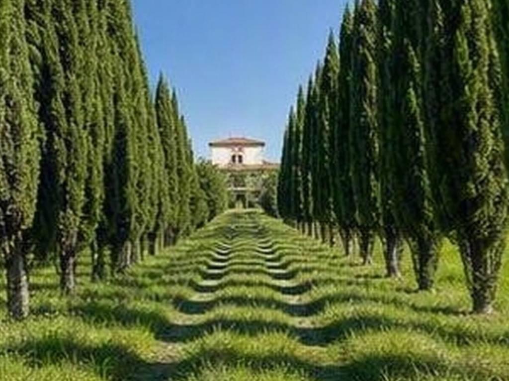 casa indipendente in vendita a Foiano della Chiana