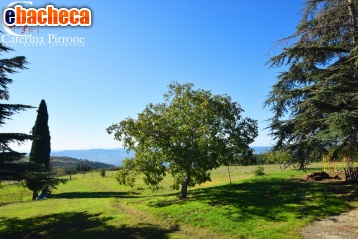 appartamento in vendita a Loro Ciuffenna in zona Anciolina