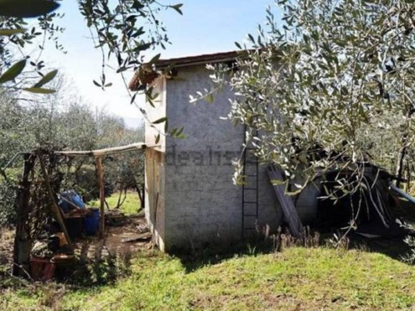 terreno agricolo in vendita a Loro Ciuffenna