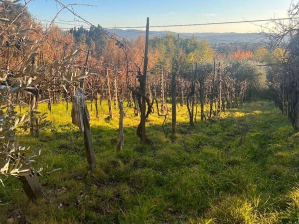 terreno agricolo in vendita a Loro Ciuffenna