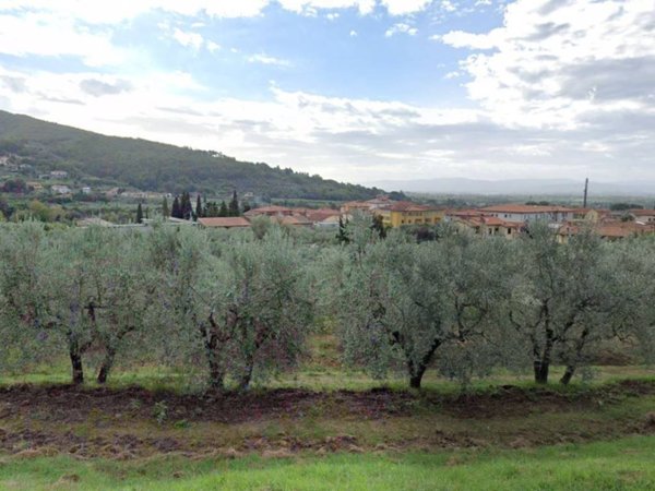 appartamento in vendita a Loro Ciuffenna