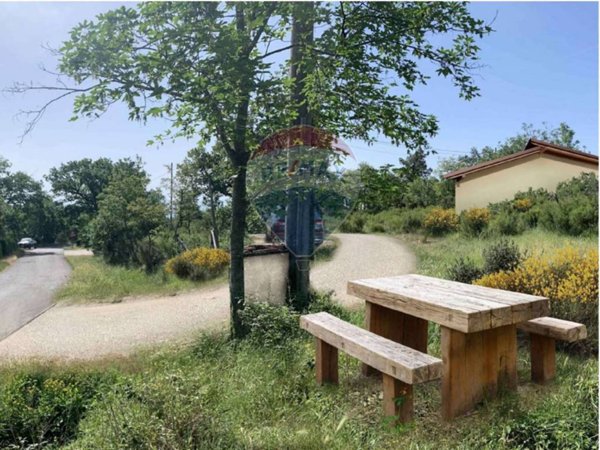 terreno agricolo in vendita a Loro Ciuffenna