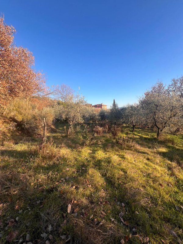 terreno agricolo in vendita a Loro Ciuffenna