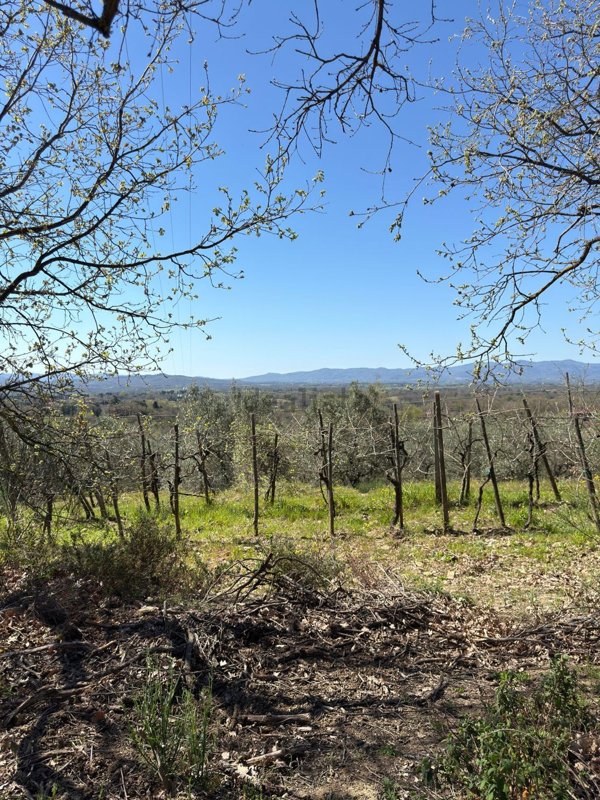 terreno agricolo in vendita a Loro Ciuffenna