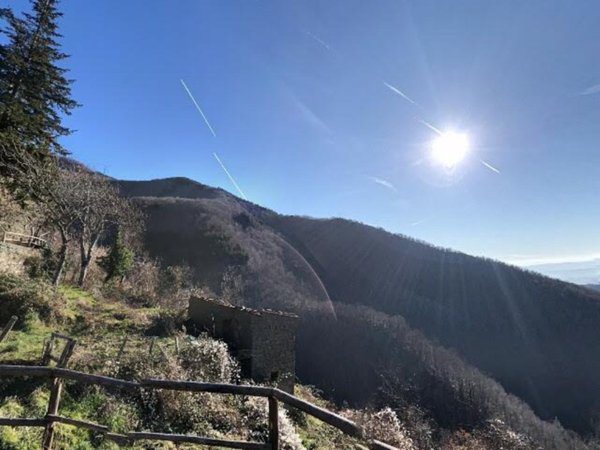 terreno agricolo in vendita a Loro Ciuffenna in zona Modine/Gorgiti
