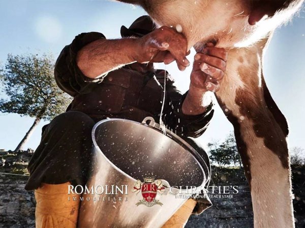 villa in vendita a Loro Ciuffenna