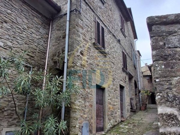 casa indipendente in vendita a Loro Ciuffenna