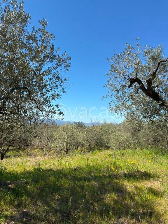terreno agricolo in vendita a Loro Ciuffenna