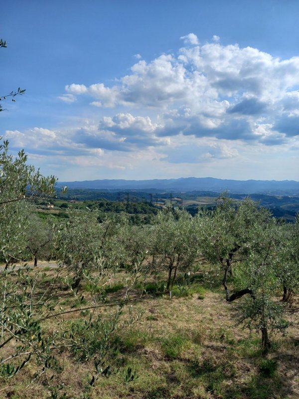 terreno agricolo in vendita a Loro Ciuffenna