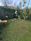 casa indipendente in vendita a Loro Ciuffenna