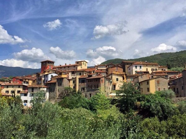 terreno agricolo in vendita a Loro Ciuffenna