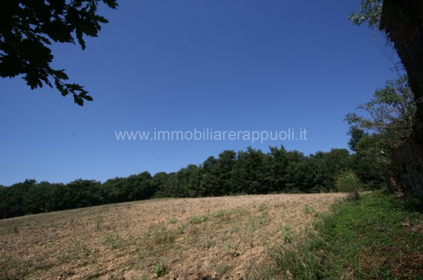 casa indipendente in vendita a Lucignano