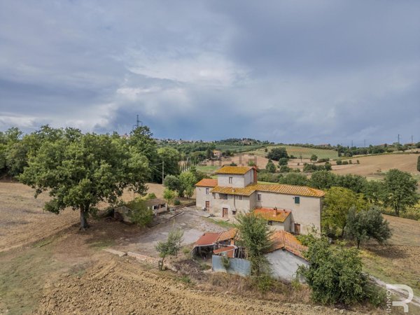 esavano in vendita a Lucignano