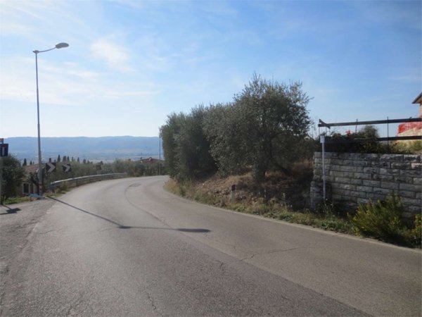 terreno agricolo in vendita a Lucignano