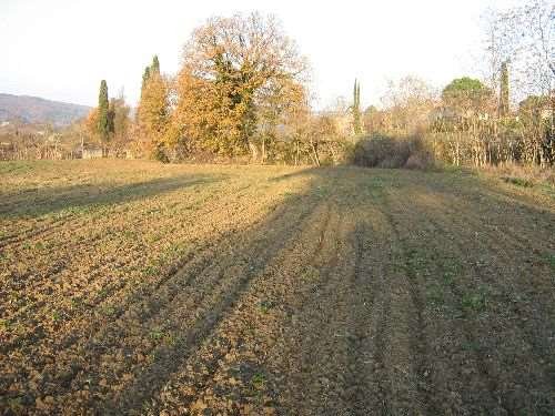 casa indipendente in vendita a Lucignano