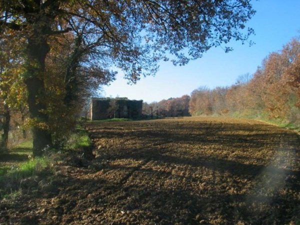 pentavano in vendita a Lucignano